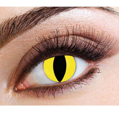 Halloween Feline Yellow Cat Eyes Daily Eye Coloured Lenses