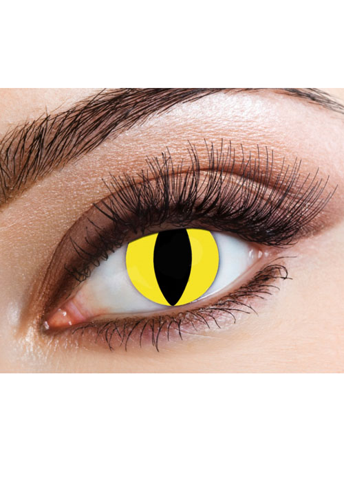 Halloween Feline Yellow Cat Eyes Daily Eye Coloured Lenses